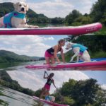 sup-mit-hund-yvonne-interview